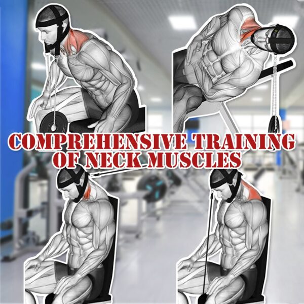 Head Neck Harness for Weight Lifting Training Diverse Workout Adjustable Strap Chin Pad Strength Powerlifting Workout Equipment - Image 10