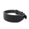 Weightlifting Belt